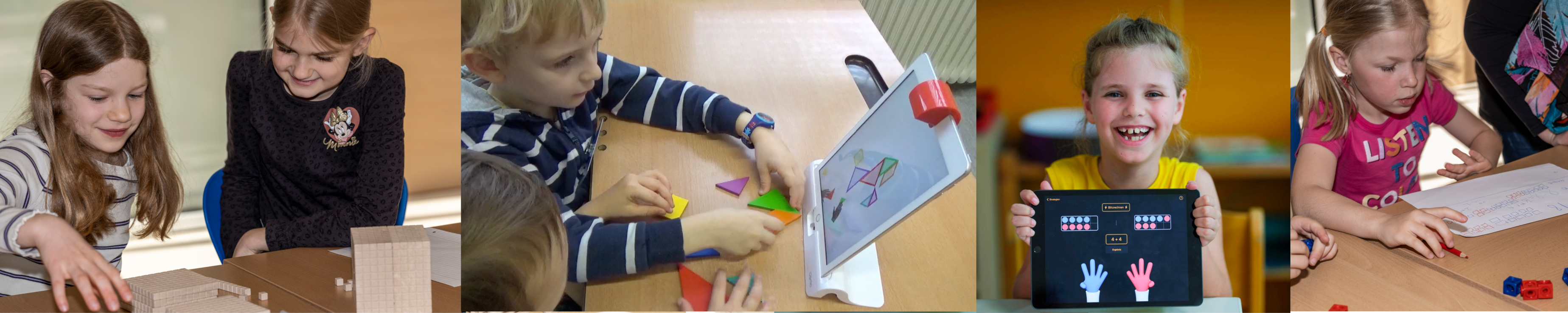 Webbanner Mathematische Bildung