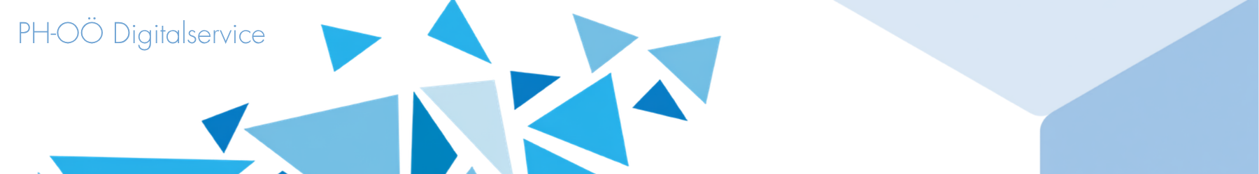 Banner Digitalservice